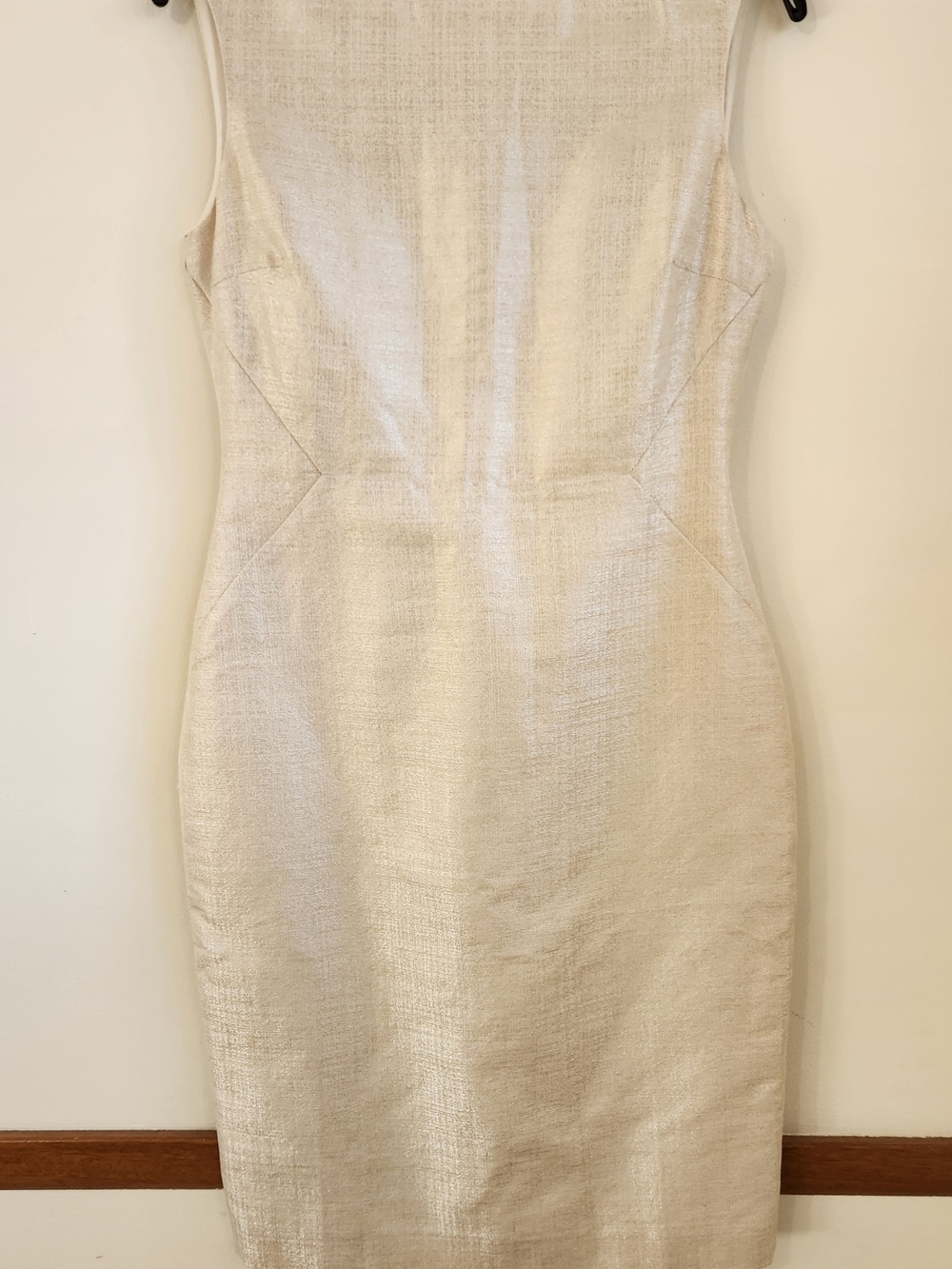 AG Phillips Metallic Champagne Sheath Dress Size 4 European Fabric Designer